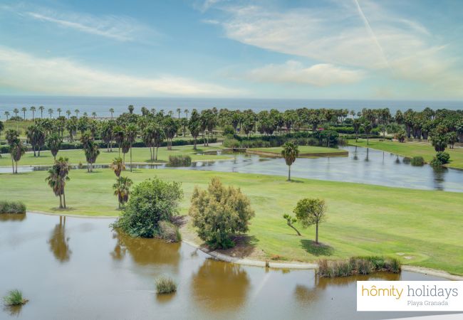 Apartment in Motril - Mar de Astrid - Luxury penthouse with private pool Apartment in Motril - Mar de Astrid - Luxury penthouse with private pool